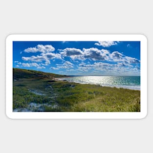 Cedar tree neck sanctuary,Martha’s Vineyard Sticker